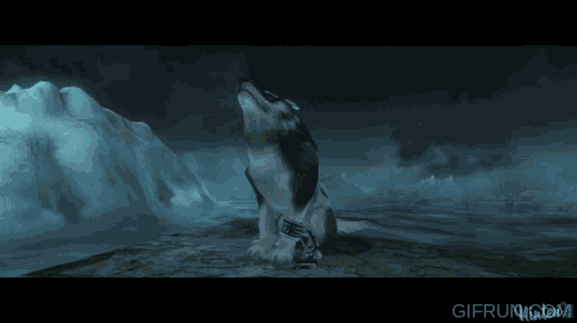 Singing Link Singing Wolf GIF