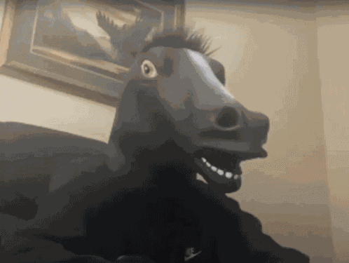 Sir Horse GIF