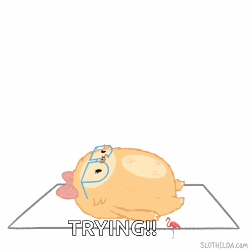 Sit Ups Abs GIF