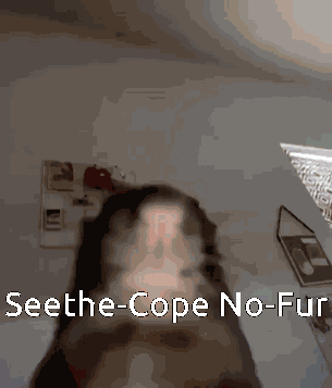 Skaven Seeth GIF