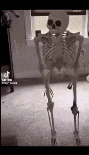 Skeleton Fall Meme GIF