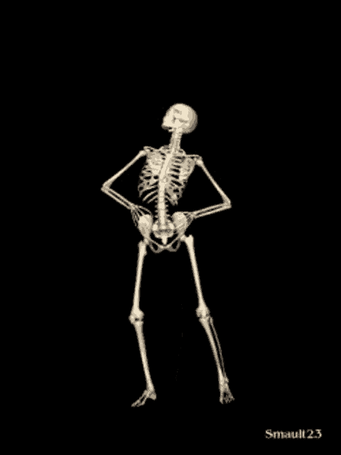 Skeleton Jig Skeleton GIF
