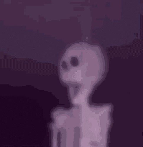 Skeleton Meme GIF