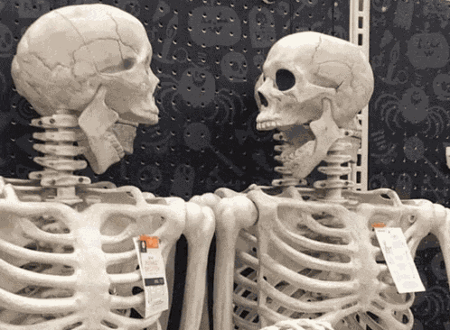 Skeleton Meme Meme