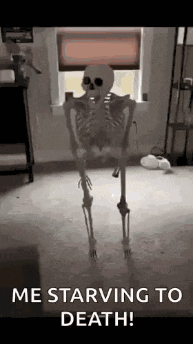 Skeleton Meme Skeleton GIF