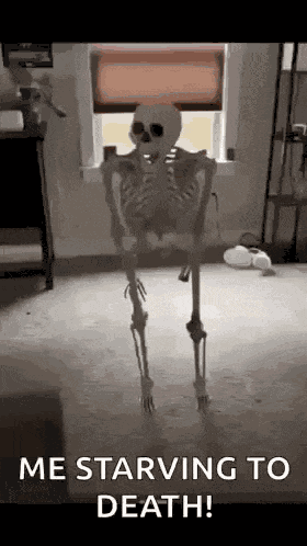 Skeleton Meme Skeleton GIF