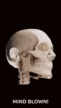 Skeleton Skeleton Laugh GIF