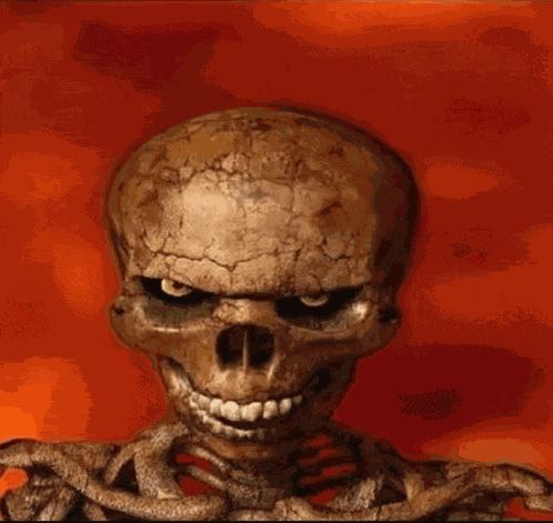 Skeleton Skeleton Meme Meme