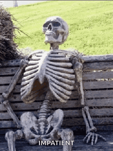Skeleton Waiting Waiting Meme