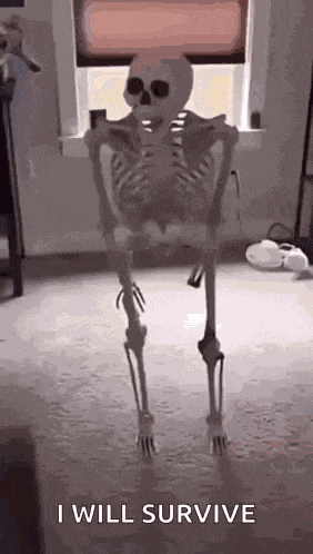 Skeletoncrazy GIF