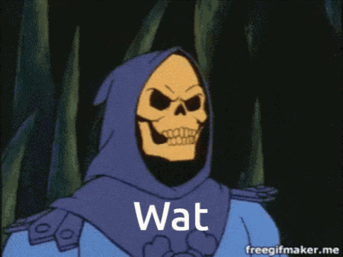 Skeletor Wat GIF