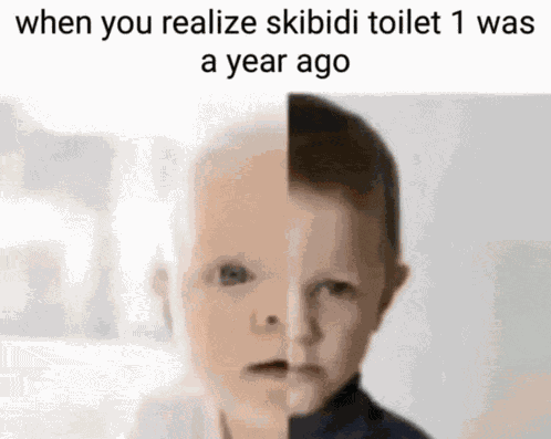 Skibidi Sigma Meme