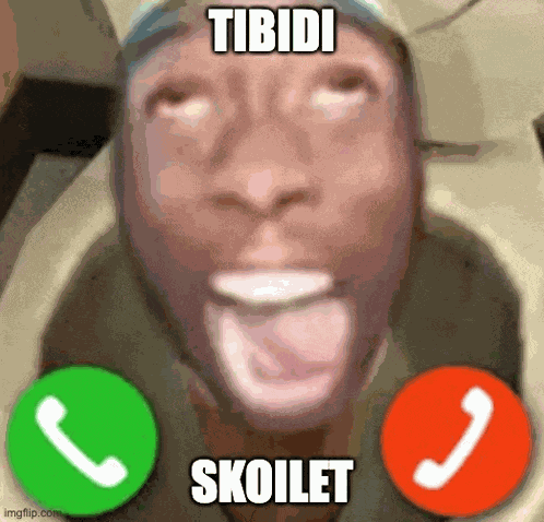 Skibidi Skibidi Toilet Meme
