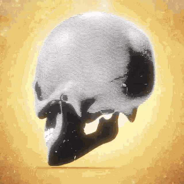 Skull Brothers Osborne GIF