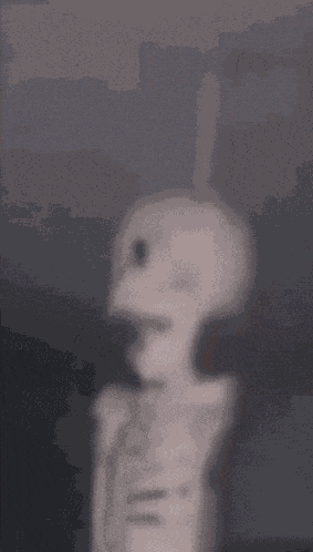 Skull Emoji Rotating Skull GIF