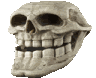 Skull Meme Sticker
