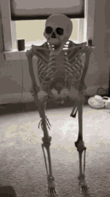 Skull Skull Emoji GIF