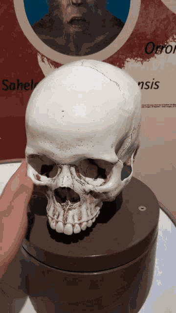 Skull Spinning GIF
