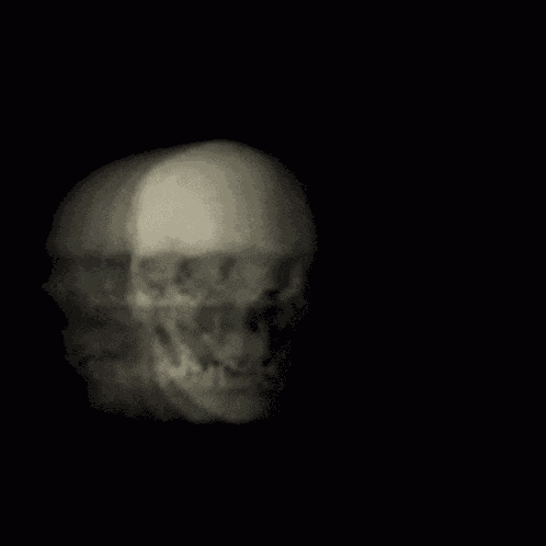 Skull Spinning Skull GIF