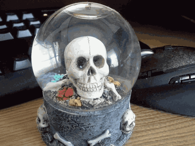 Skull Waterglobe GIF