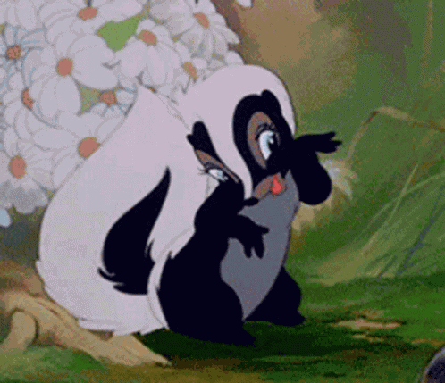 Skunk Skunks GIF