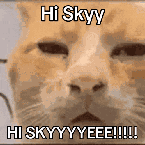 Sky Skyy GIF