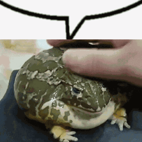 Slap GIF