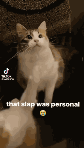 Slap GIF