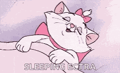 Sleep Cat GIF