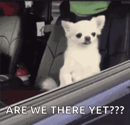 Sleep Dog GIF