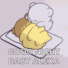 Sleep Sleeping Couple GIF