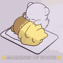 Sleep Sleeping Couple GIF