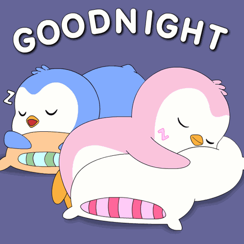 Sleep Sleeping GIF