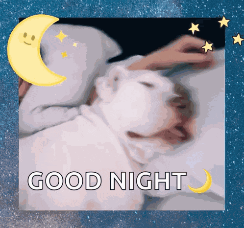 Sleep Sleepy GIF