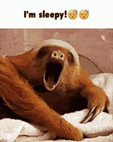 Sleep Time GIF
