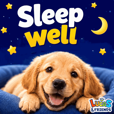 Sleep Well Good Night GIF