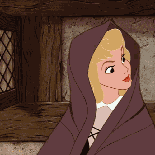 Sleeping Beauty Aurora GIF