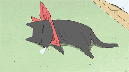 Sleeping Cat GIF
