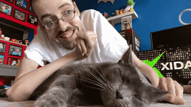 Sleeping Cat Ricky Berwick GIF