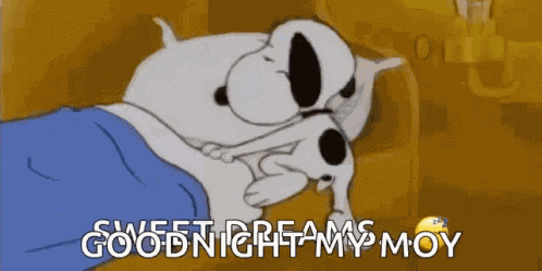 Sleepy Asleep GIF