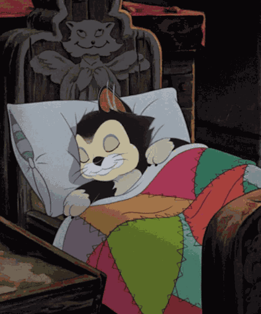 Sleepy Cat GIF