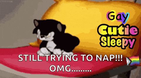 Sleepy Cat Sleeping Cats GIF