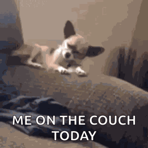 Sleepy Tired GIF