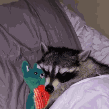 Sleepy Tired GIF