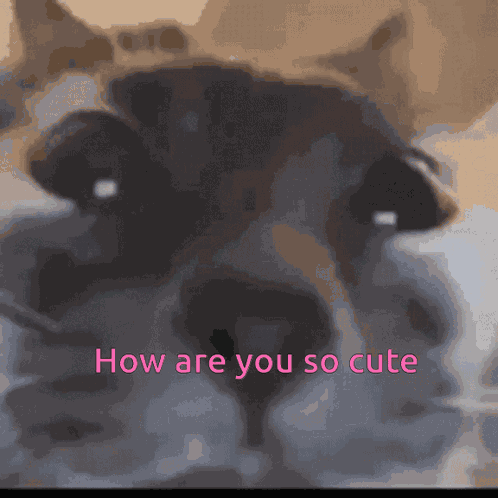 Sleepypancwake Pancake GIF