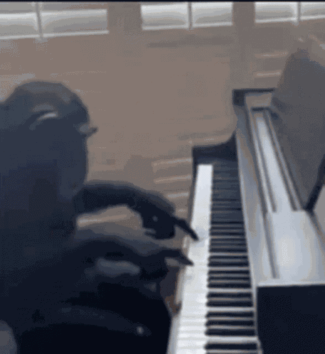 Sleezeymir Monkey GIF