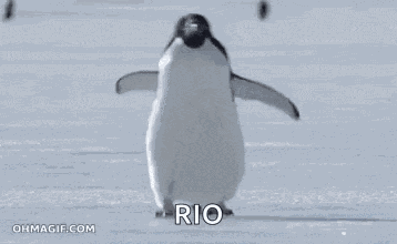 Slipping Penguin GIF