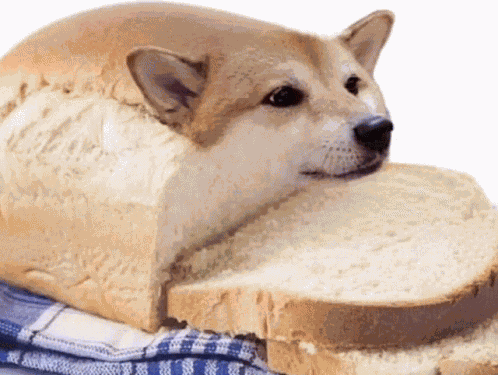 Slirkyissocool GIF