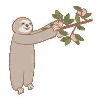 Sloth Animal Sticker