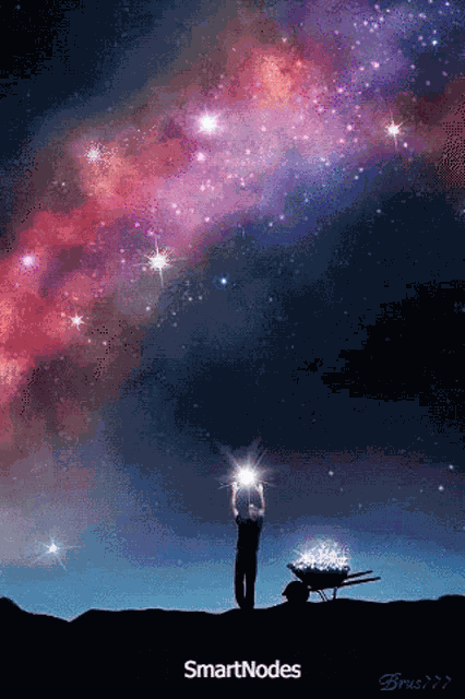 Smart Nodes Stakefish GIF